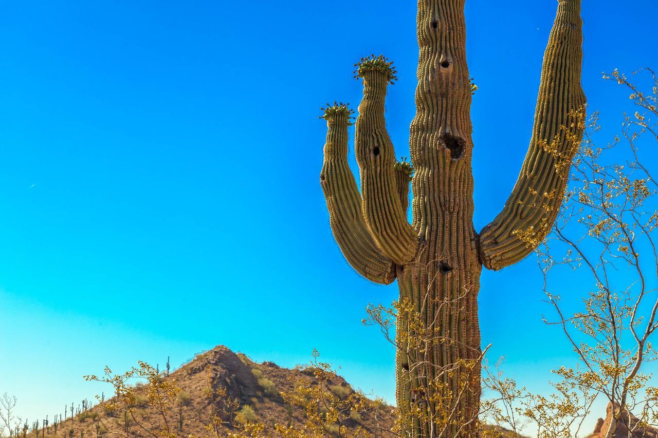 Desert Foothills Phoenix Exterior photo